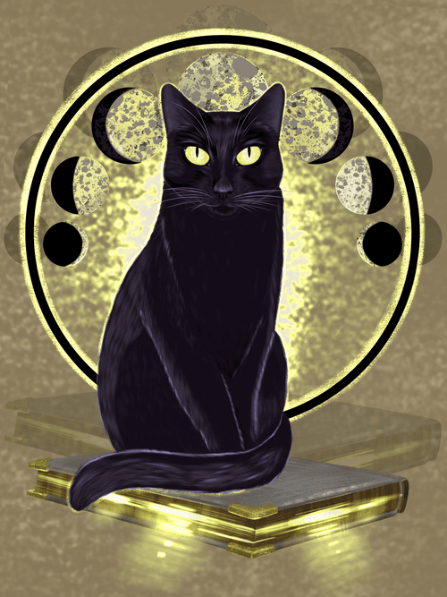 Mystical black cat