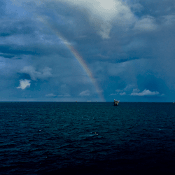 项目媒体占位符