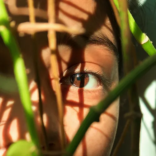 The Light in your Eyes