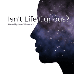 Isn't Life Curious? collection image