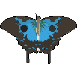 Ulysses Butterfly 