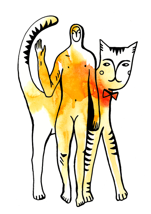 Travel with a cat