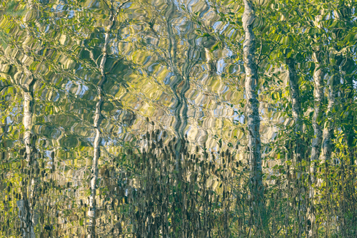 Ebb and Flow #13a