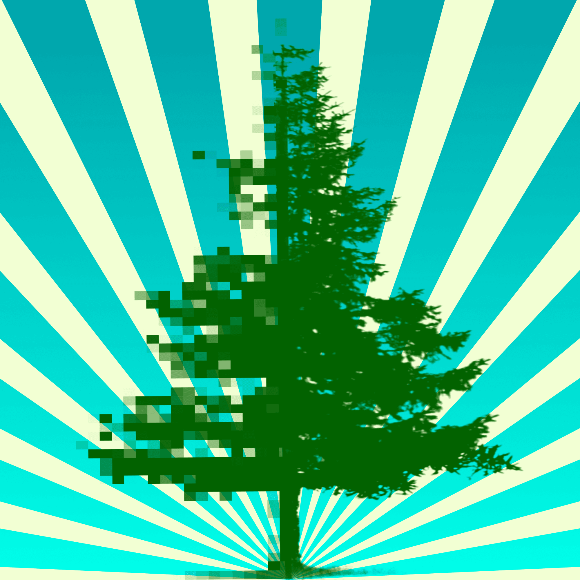 TreeHugger #2 🌲 Tree 2 of 21 Trees