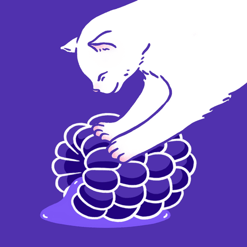 Catherapy #Blackberry