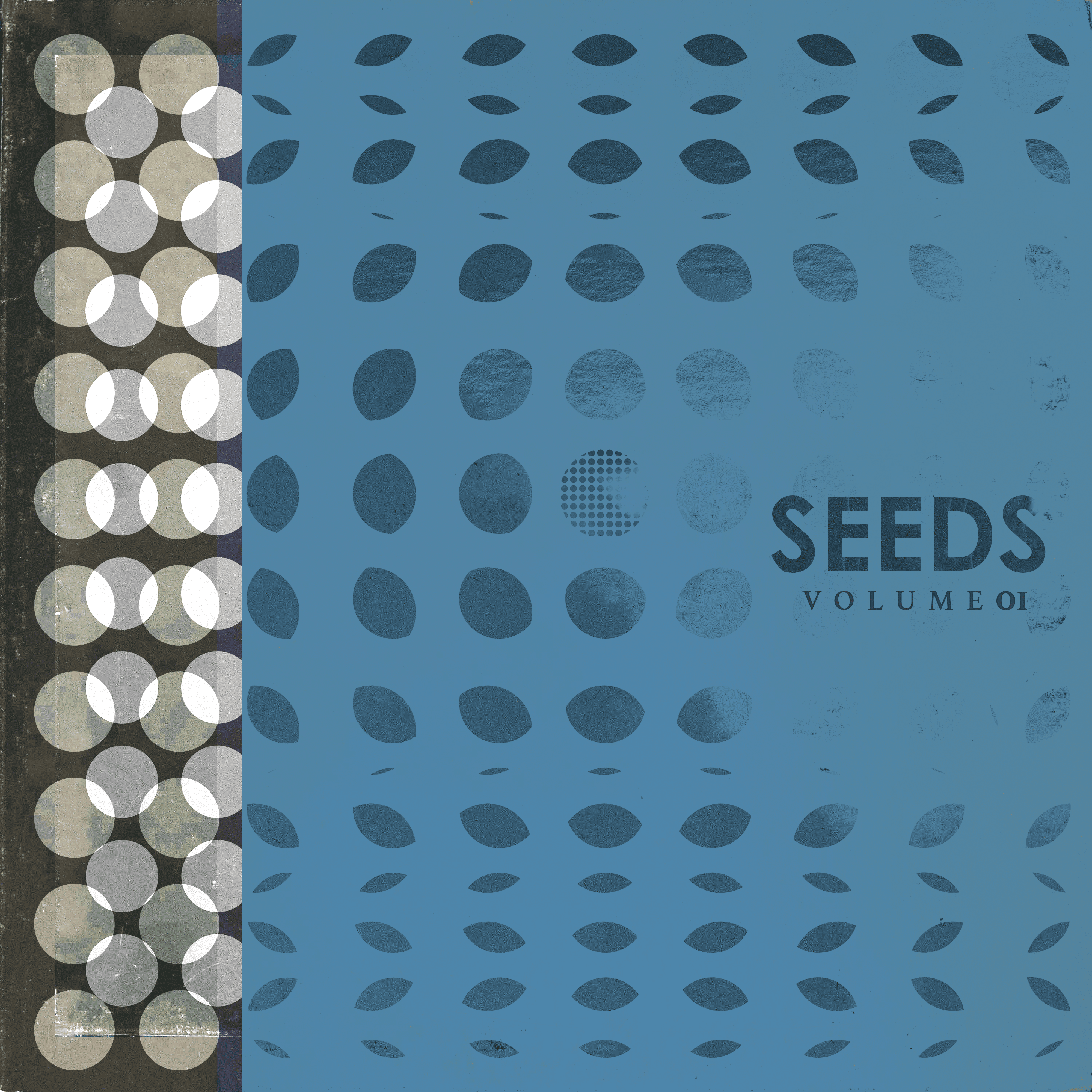 seed #2