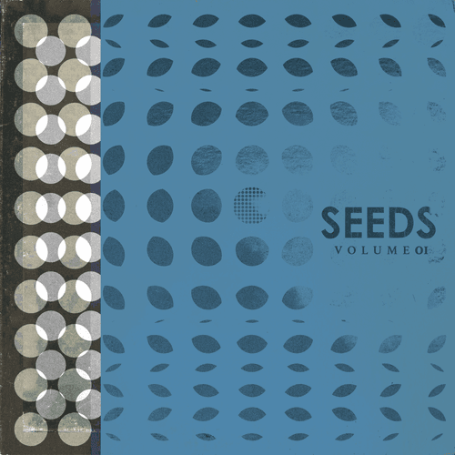 seed #10