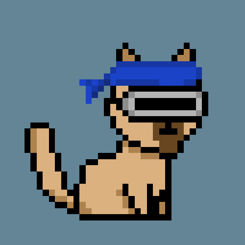 PunkCat #8103