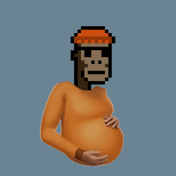 Pregnant Punks collection image