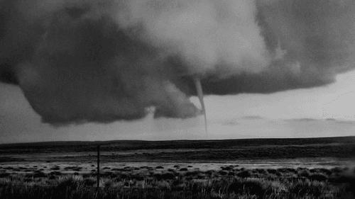 #10 Needle-in-a-haystack