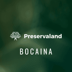 Bocaina mountain range collection image