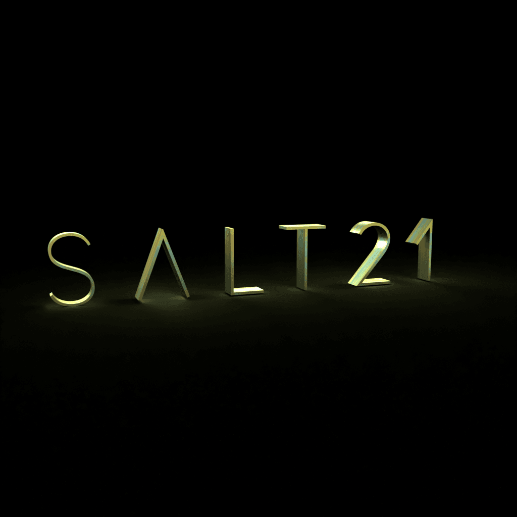 SALT21 3D 