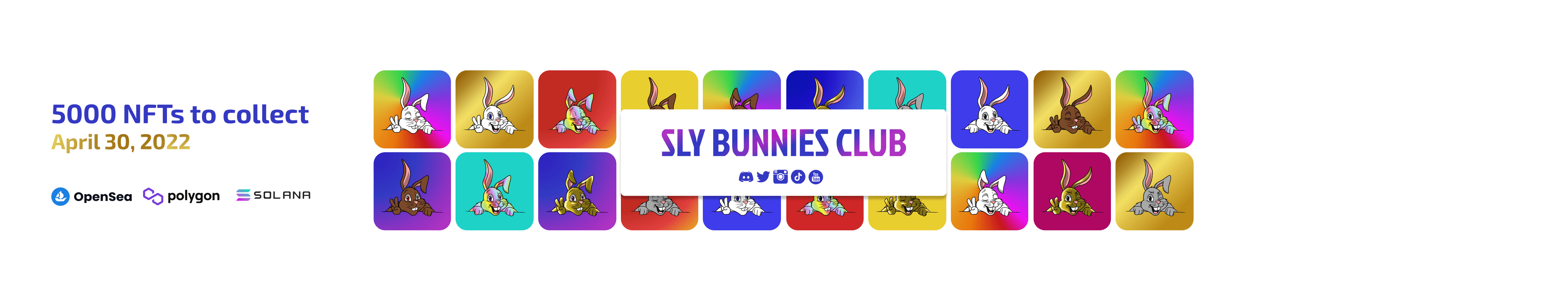 SlyBunnies banner