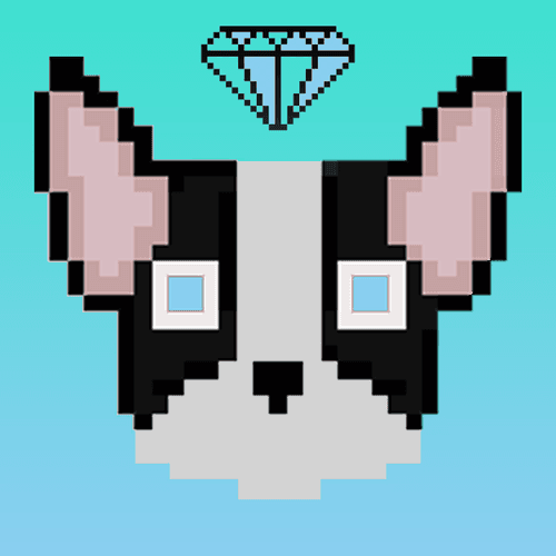 Boston Terrier "Gemstone"