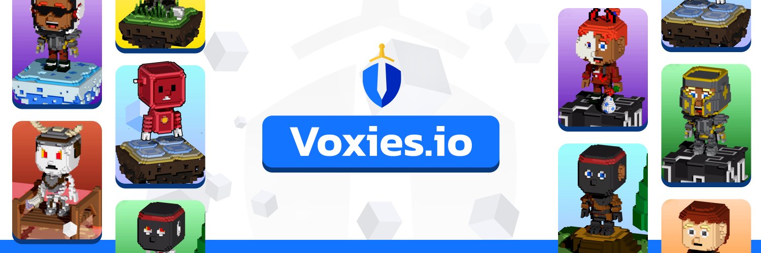 Voxies banner