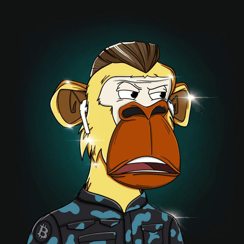 Elite Ape #13036