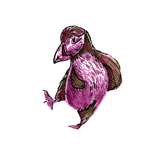 Sketchy Birds