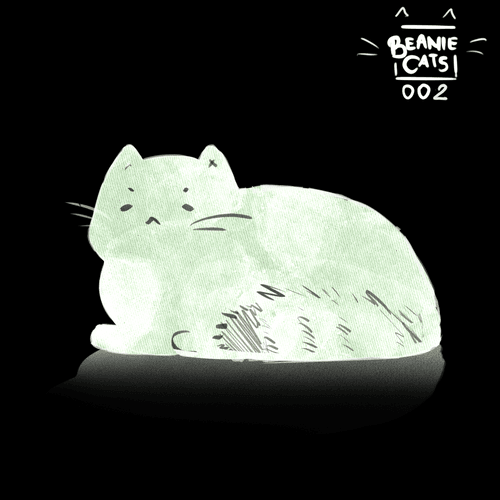 Beanie Cats