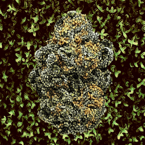 Granddaddy Purple - Green Series
