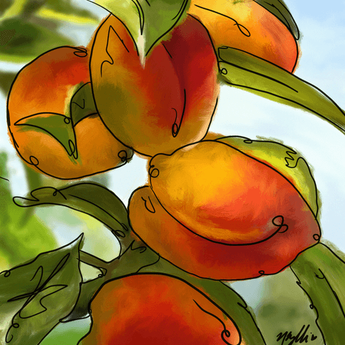 Summer Peaches