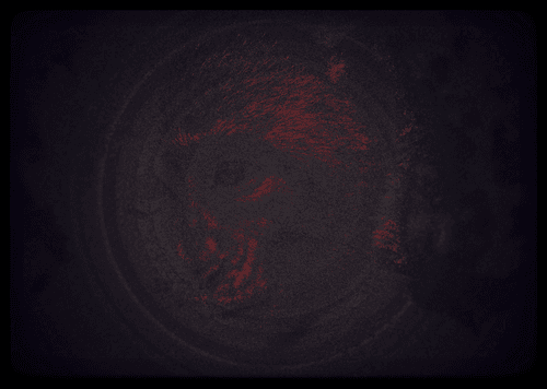 Face Monkey #0136
