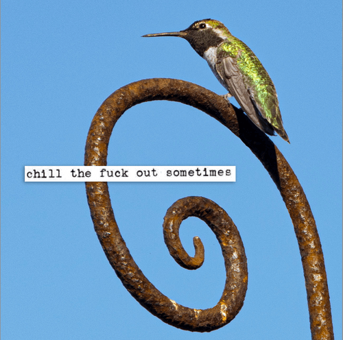 chill the fuck out sometimes