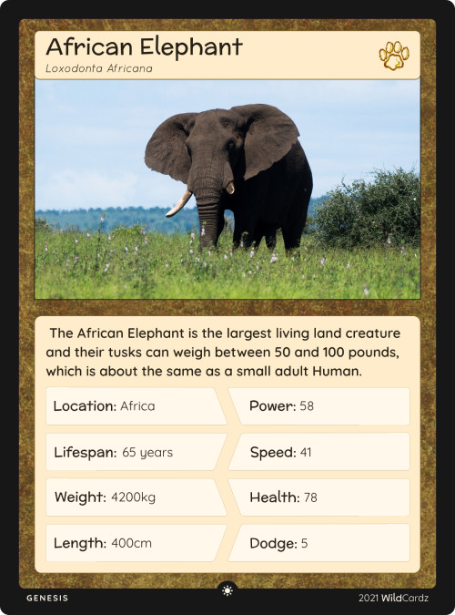 Elephant Save Lab | OpenSea