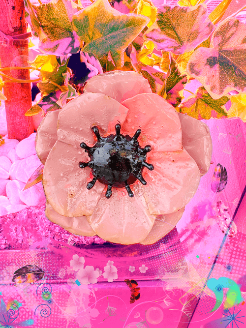 Klintmoor Flower Edition 15/50