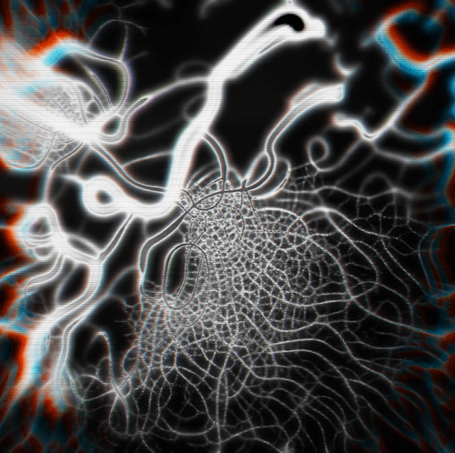 The Organism