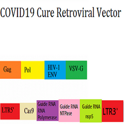 COVID19 Cure Retroviral Vector collection image