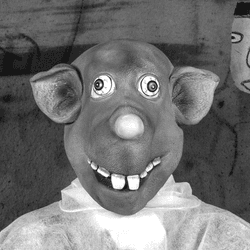 Roger the Rat by Roger Ballen collection image