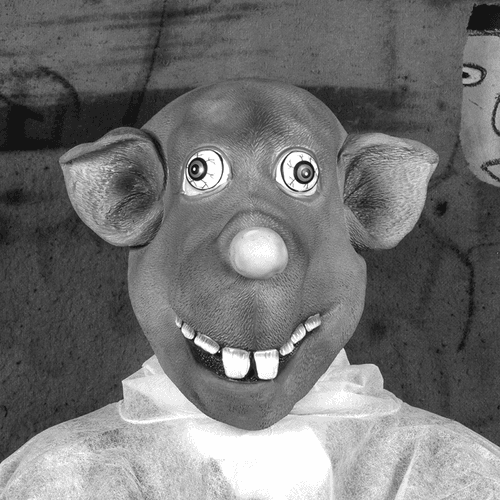 Roger The Rat by Roger Ballen