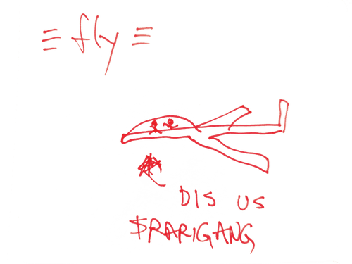 FLY