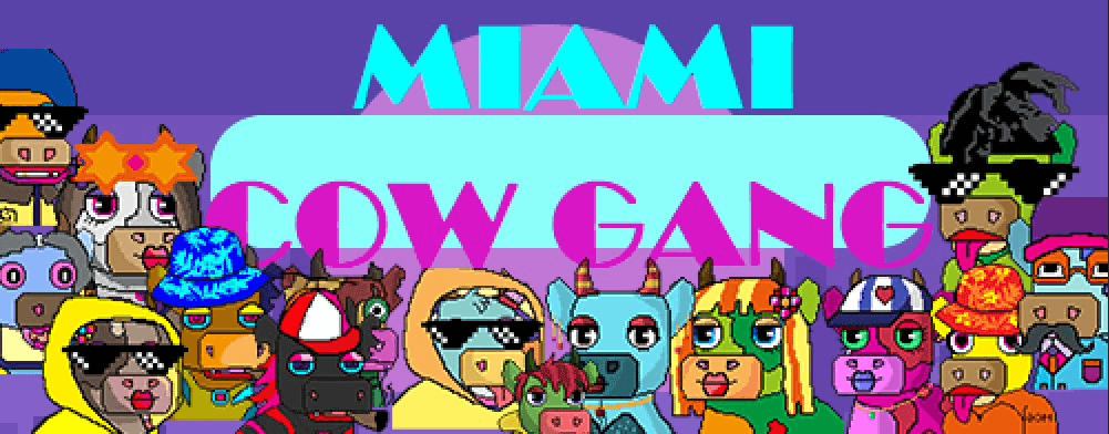 Miami_Cow_Gang 橫幅