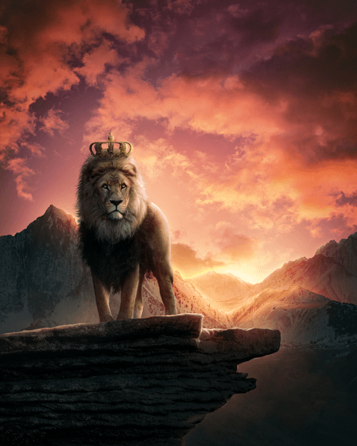 King