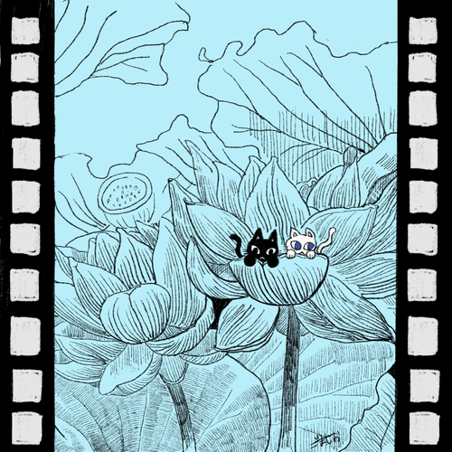 Travelng cats.Day1