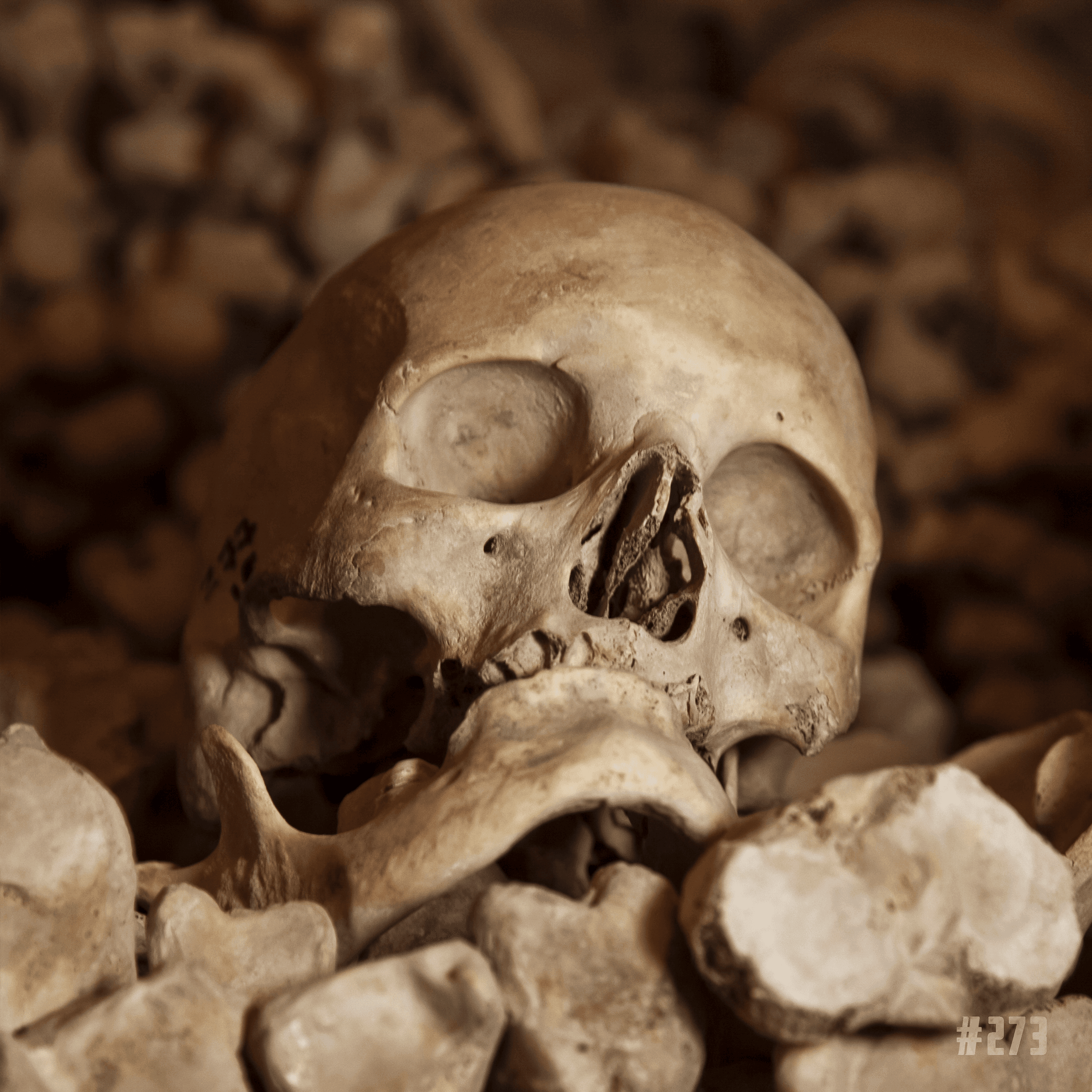 Skulls On ETH #273