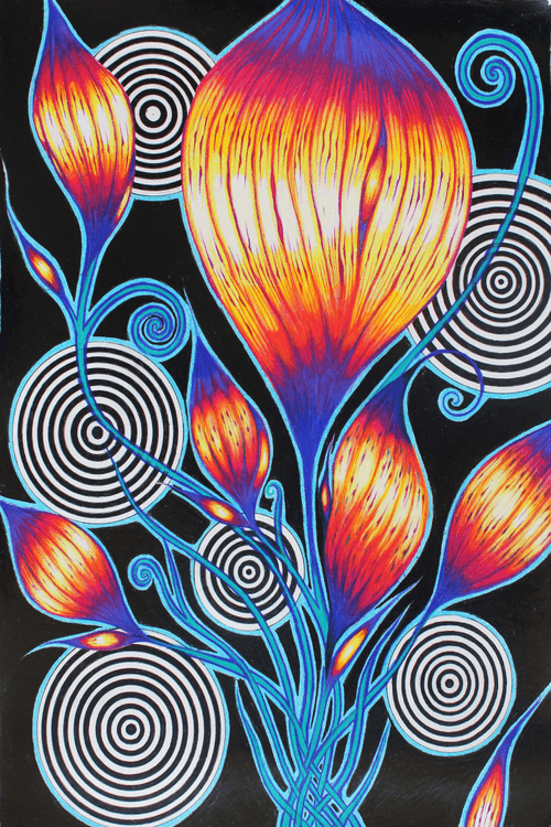 The Vortex Flower