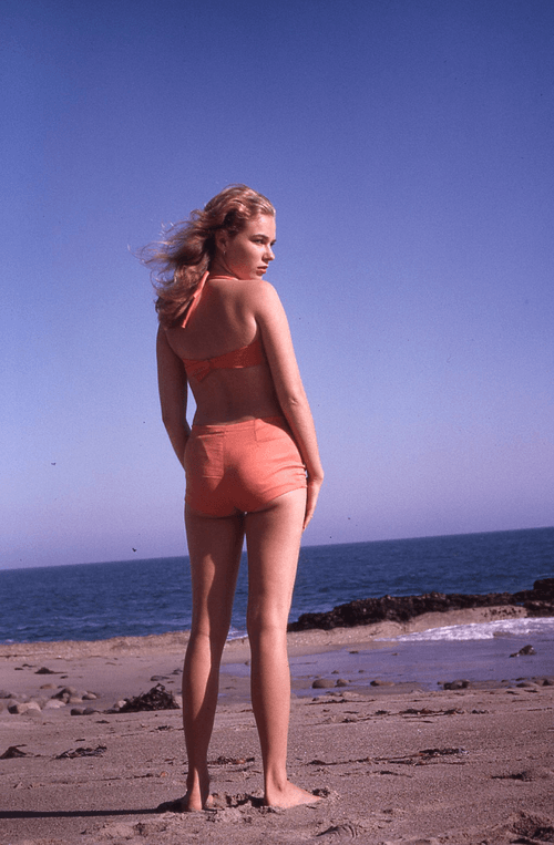 One Of One Vintage Photographs In Slide Format