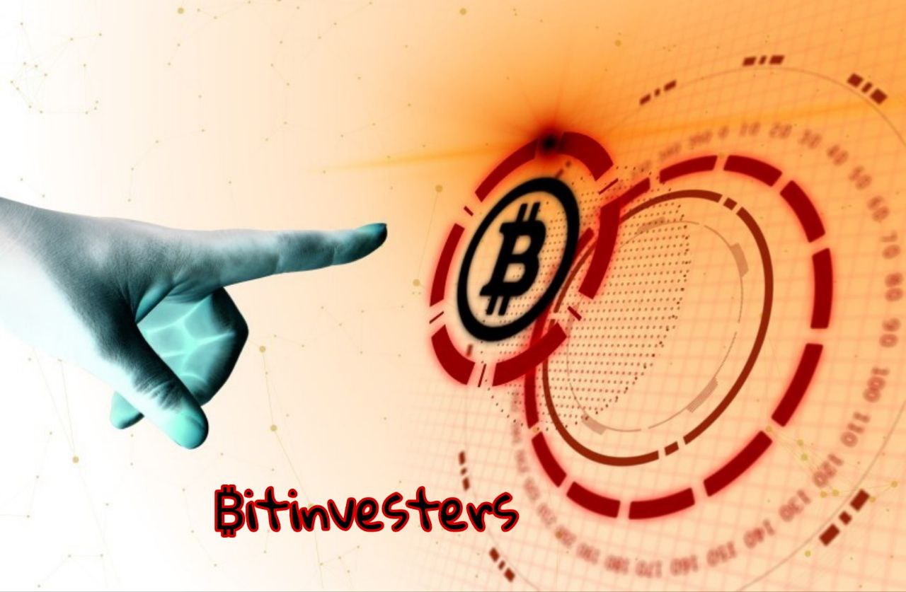 Bitinvesters banner