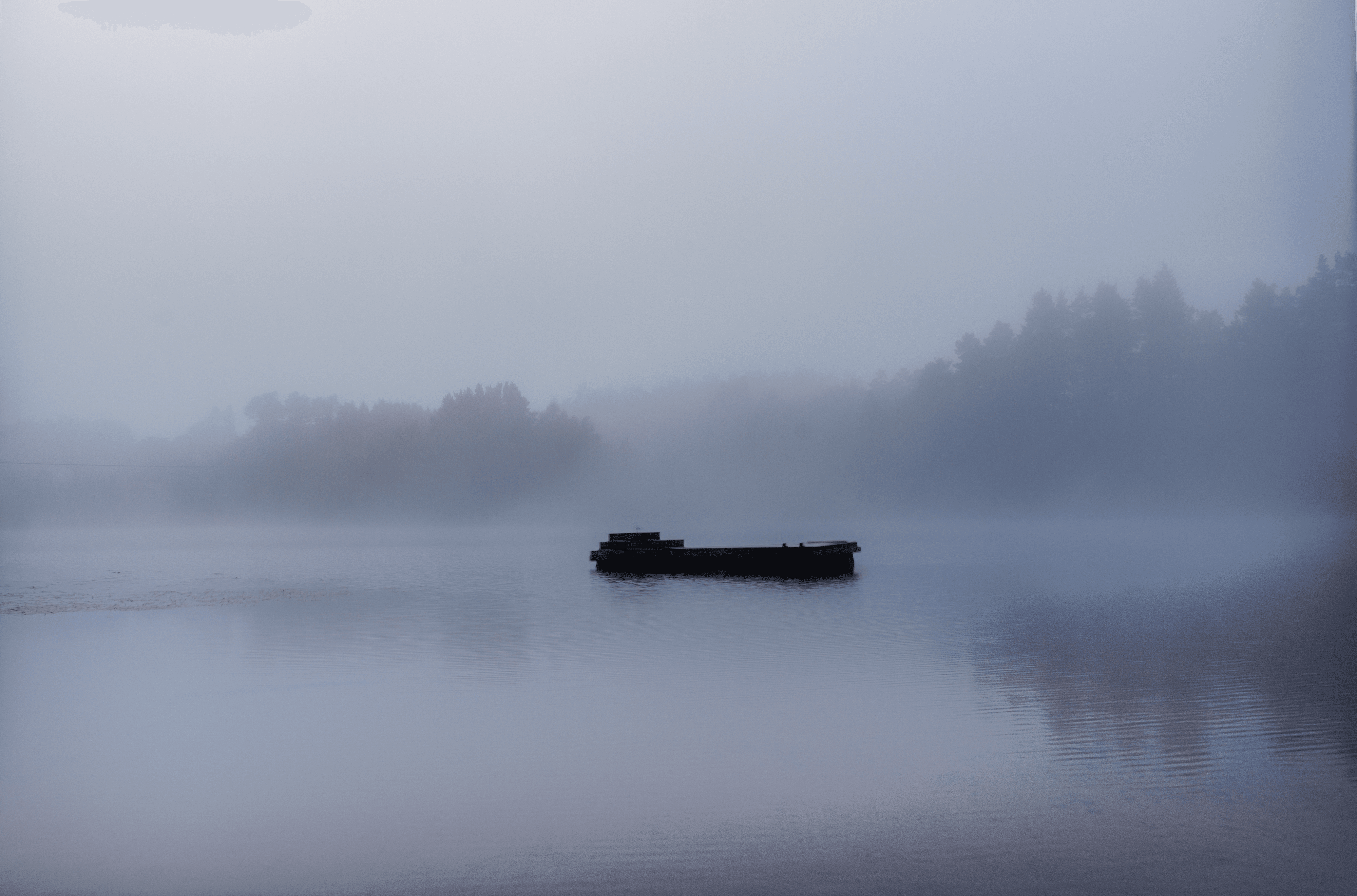 Road To Nature #1 - Fog Melancholy 