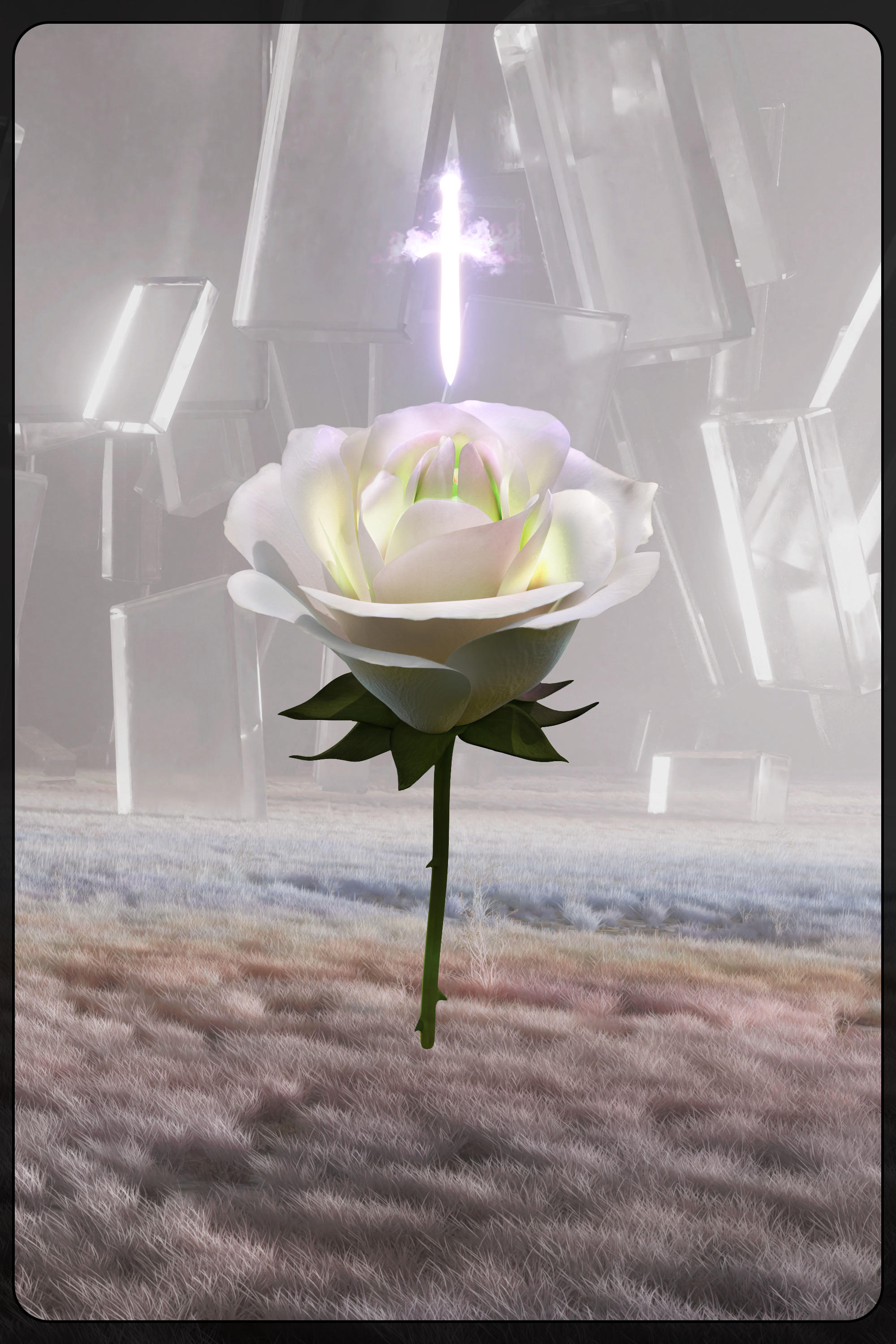 Eternal Rose 207
