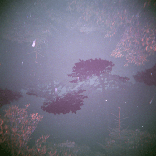 Shot on Holga #12: Illusions in the Fog