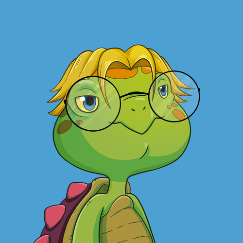 Turtle #238