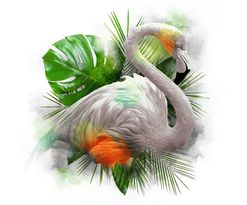 TROPICAL MANDARIN - FLAMINGO