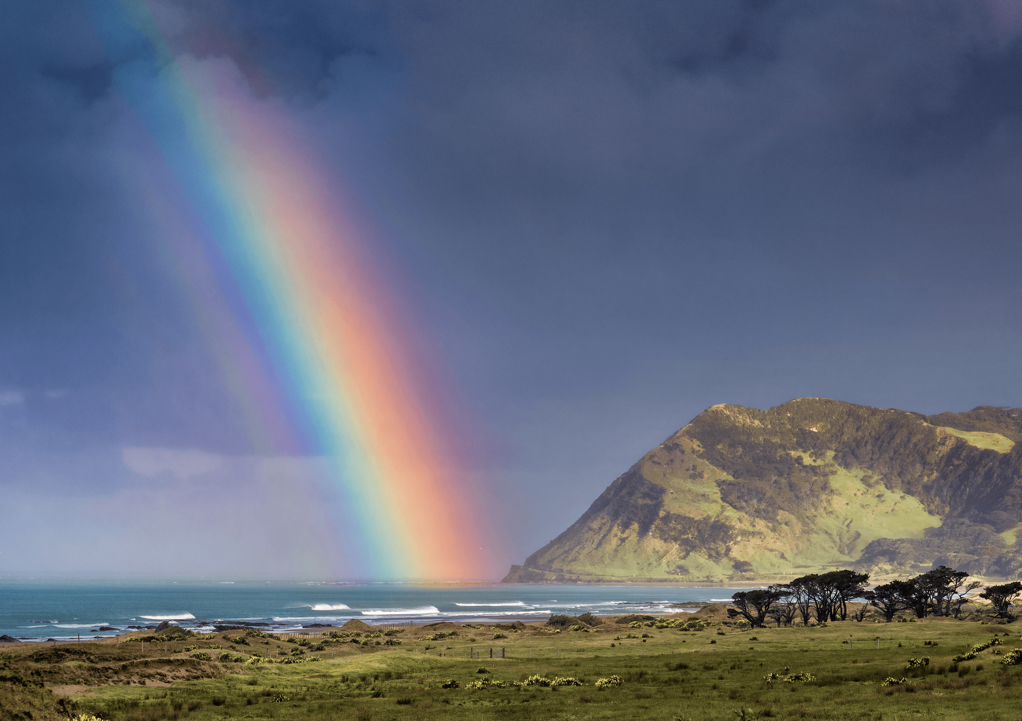 Cape Rainbow