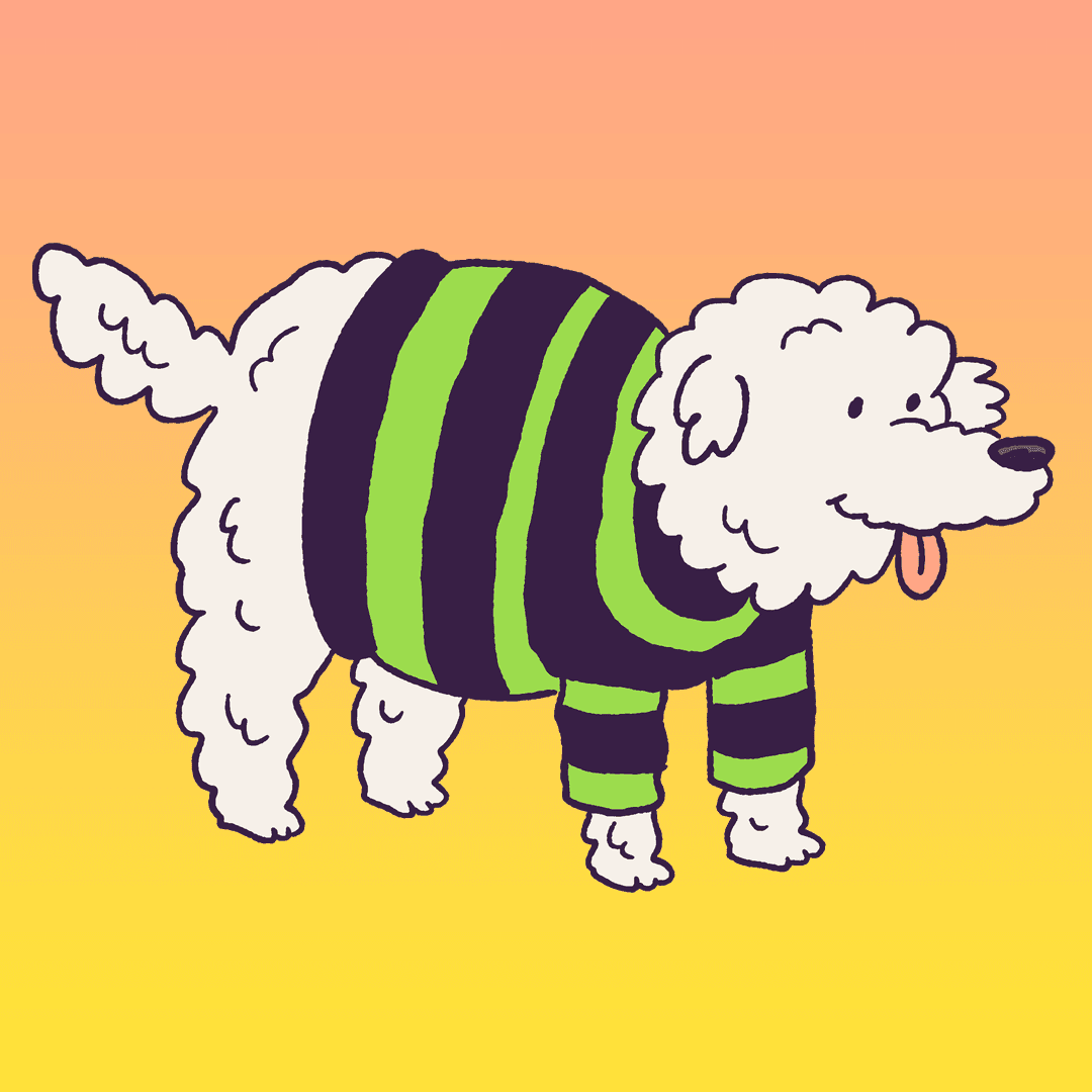 Sweater Puppy #127