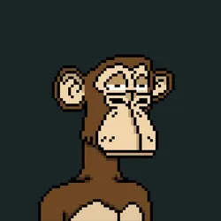 Bored Ape Pixel Club V2 collection image