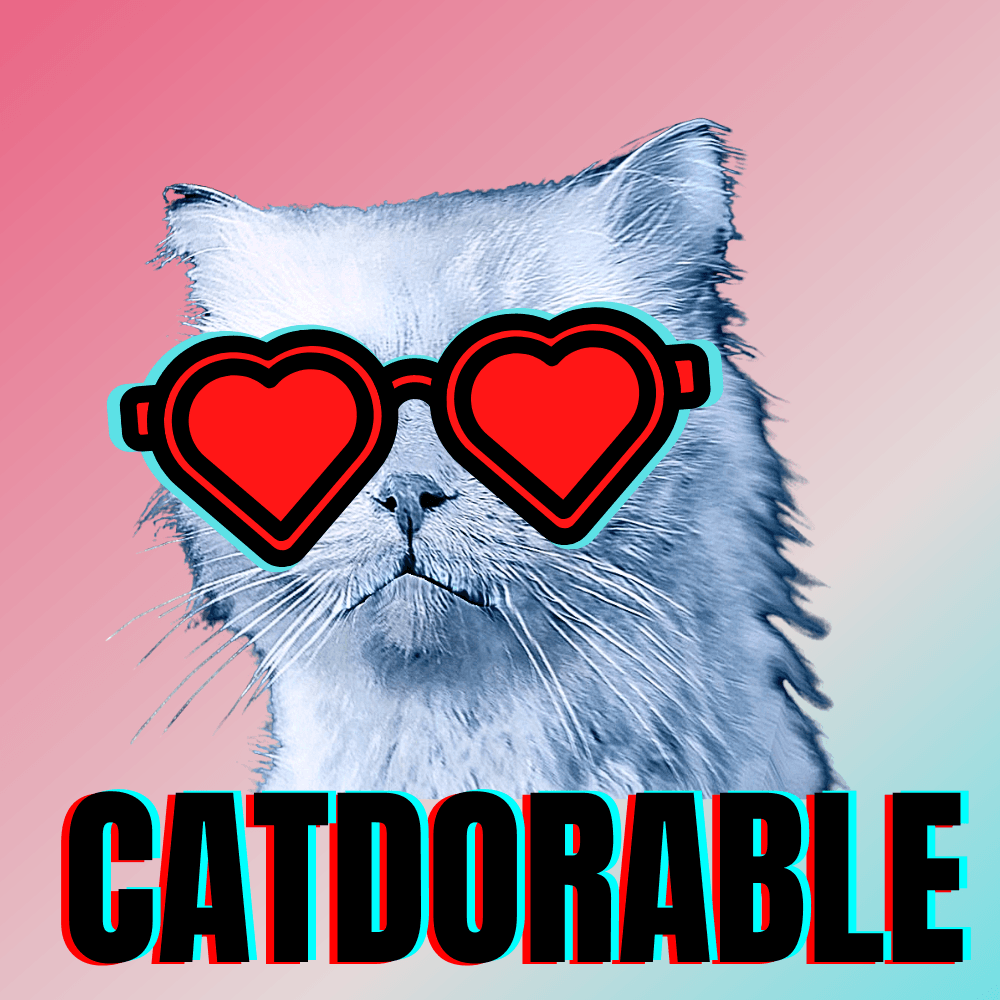 #bluecatmax #9 catdorable