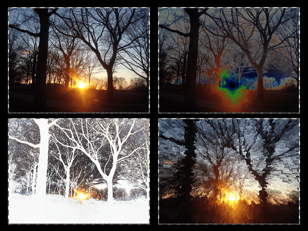 Peeking Sun - Eisenhower Park 2017 - Photo Collage